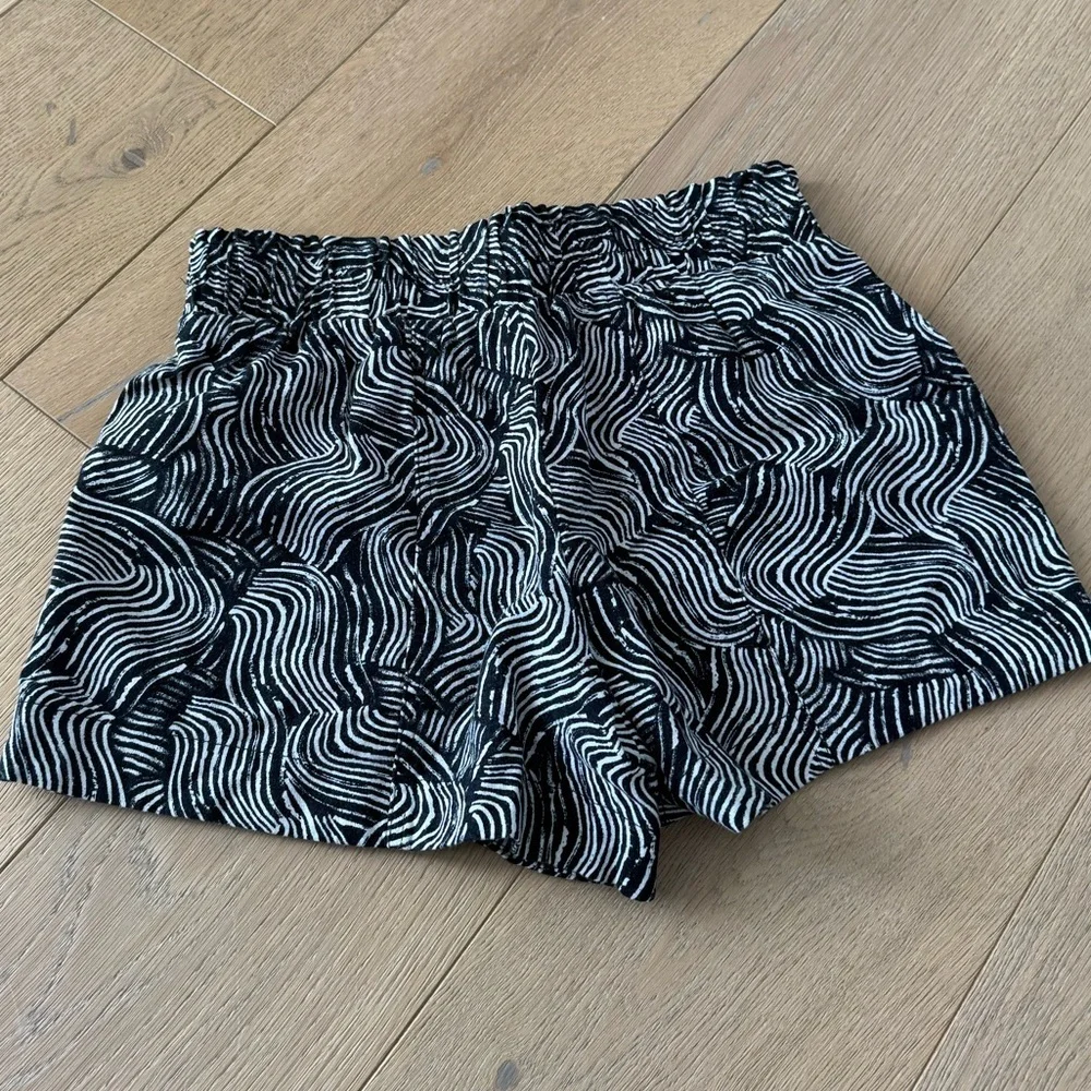 a new day bold zebra